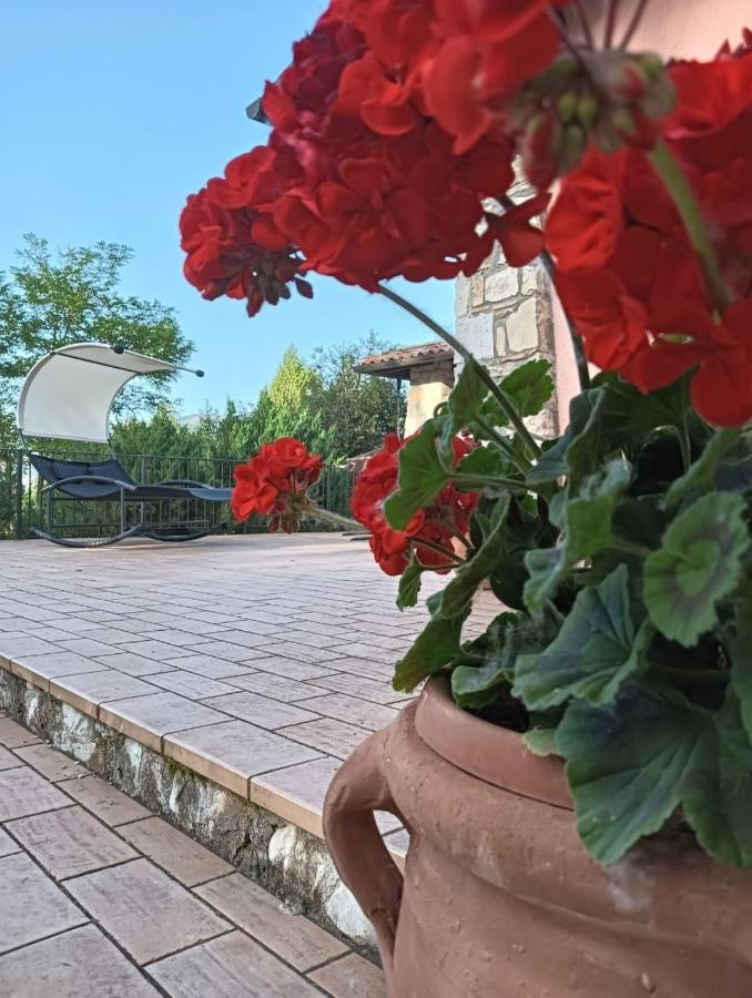 Appartamento Vacanze Il Daino Leonessa Exterior foto